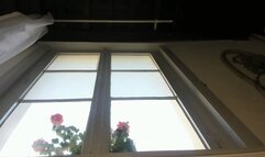 Window cleaning in miniskirt