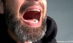 Big Breakfast Chomp - (1080HD Version)