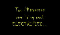 Cock busted (COMPLETE MOVIE)