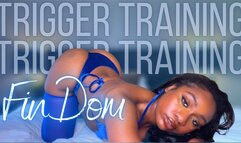 FinDom Trigger Training