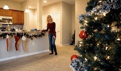 Ditria's Christmas Gift HD