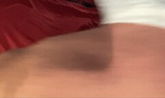 Breeding my mare slut with Abe