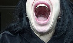 yawn early at the window