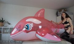 Saskia the end of my cute orca