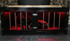 Part II: Ruby in cage