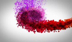 CIRCUS OF THE FREAKS - NATALIE KINKY