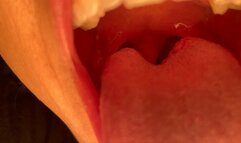 Macaroni and Cheese and Mini Marshmallows