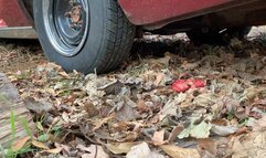 Exhaust shot of my 1976 thunderbird