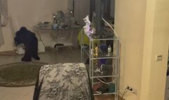 Robbie takes the stage