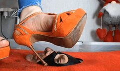 CC - Dirt training for christmas 5