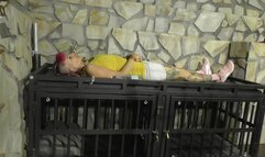 The Maya 72h Challenge - Maya Homerton - The ultimate Bondage Session - Clip 6 - Waiting - Full Clip wmv HD