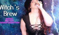 The Witch's Brew: Potion Transformation