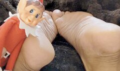 Hermie The Elf Humps and Smells Calypso Rose's Feet (Dec 2023)