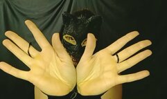 Playing with hands today