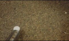 After Presents Vacuuming :: Bag Humping