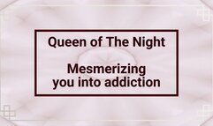 Mesmerizing Pantyhose Legs