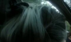 Cheating Wife Sucking Lover's Cock In Car