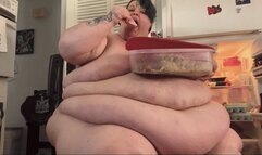 Holiday Leftovers Heavyweight Stuffing SD