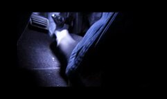 Cassandra struggles to start the focus in black nylons