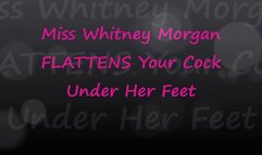 Whitney Morgan Flattens Your Cock Under Her Feet - mp4