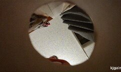 Giantess Traps Tiny You: Chapter 1 (MP4 HD)