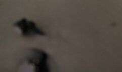 ASMR belly sounds night time in bed