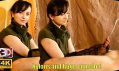 563 - Nylon handjob with ruined orgasm 3D SBS 4K