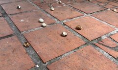 the pleasure of crushing Kahina y kalinda