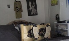 The Artist Tickled (Fan Engagement)