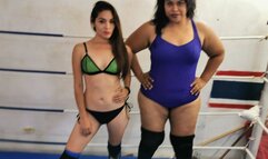 DAMA VS SHEEVA BELLYPUNCHING