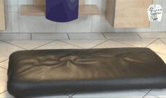 Leather upholstery under Sneakers