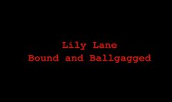Lily Lane Bound and Ballgagged