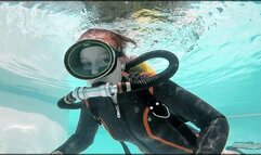 512 - We Love Beaver-Tail Wetsutis