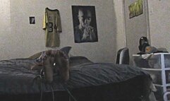 Beauty and the Ticklish