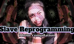 SLAVE REPROGRAMMING COMPILATION