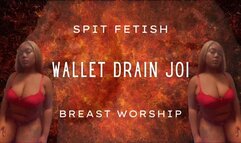 Wallet Drain JOI
