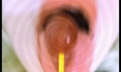 Oral fixation Lollipop spiral