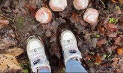 cake crush with cute Buffalo in the mud