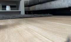 Giantess humiliates you