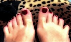 Veneration of My Socks (second day)