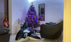 FETISH LOONER - BALLONS SHARK