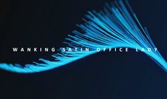 Wanking Satin Office Lady