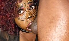 MochaSwallows' Meow Mixxx