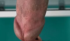 Hands free orgams in milking table