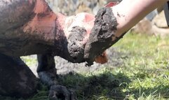 Lick all the sludge and dirt from Our feet