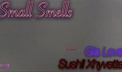 Small Smells (MP4 1080P)
