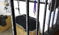 Riding Lessons - 1080