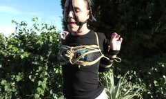Intense Bondage Walk Training Lesson for Roxy - Part 2 wmv SD