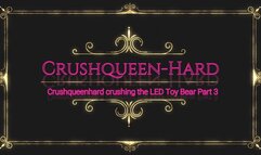 Crushing crush LED toy Bear in wooden Berkemann Sandals and nylons