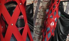 Spiderman; The Human Fly Trap